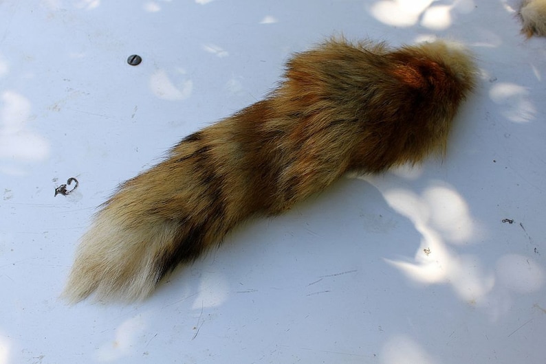 Fox Tail Red Fox Tails Costume Cosplay Keychain Fur Pelt image 3