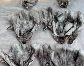 Cabeza de zorro polar / Máscara de zorro / Piel de animal / Máscara espiritual