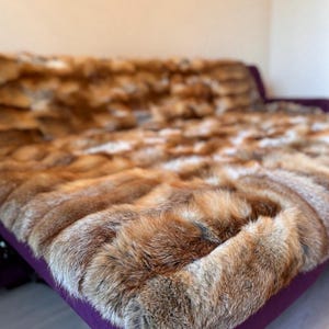 Könnte beinhalten: Eine luxuriöse rote Fuchspelzdecke, die über ein violettes Sofa gelegt ist. Das Fell ist weich und flauschig und die Decke ist perfekt, um jedem Raum einen Hauch von Eleganz zu verleihen.