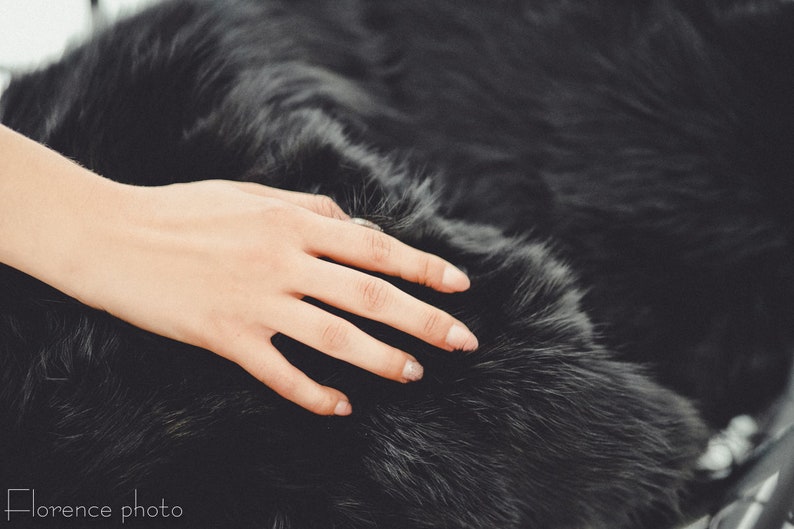 Black Fur Pillow Cover 18x18 Cushion Case Fox Etsy