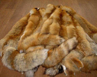 Real fox fur pelt for game of thrones costume, medieval costume or fur viking clothing, barbarian skirt
