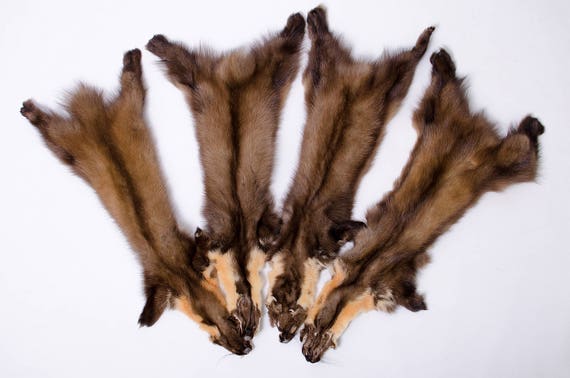 テンの毛皮、ソフトマウント剥製、動物の毛皮のコスプレ衣装