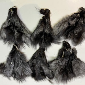 May include: Six silver fox fur tails. The tails are black with white tips and are arranged in a pattern on a white surface.