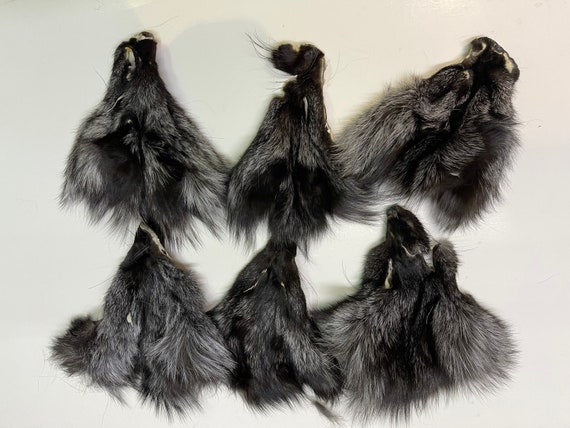 Silver Fox Face Pelt: Soft Mount Taxidermy, Craft Supply