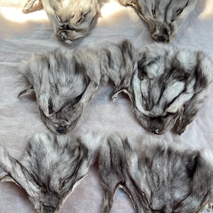 May include: A collection of gray and white fur animal faces, possibly fox or wolf, arranged on a light-colored surface. The fur appears soft and textured, with visible details of the animal's features.