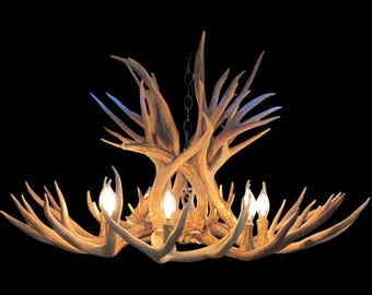 Mule Deer Antler Chandelier, Rustic Farmhouse Lighting
