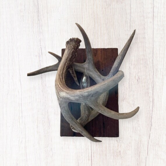 Deer Antler Wall Sconce Rustic Cabin Mountain Decor Etsy Australia
