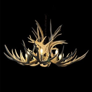 Antler Chandelier Lighting, Farmhouse Antler Chandelier, Rustic Lighting, Natural Mule Deer Antler Chandelier