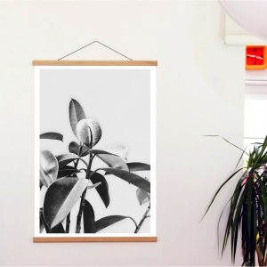 Arte della parete Nordic House Design, gancio magnetico Poster, stampa su tela in bianco e nero, tela parete arte e gancio magnetico in legno, botanico