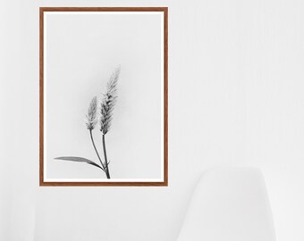 Floral Print, Wall Art, Wild Flower Print, Botanical Print, Vintage Wall Art, Black and White Print, Minimalist Print, Kitchen Wall Art