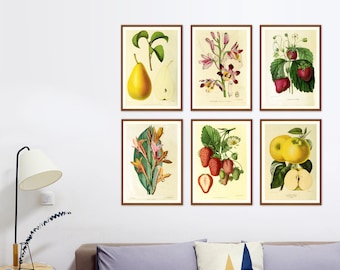 6er-Set Prints, Botanische Illustrationen, Moderne Wandkunst, Cottage Wandkunst, Wohnzimmerdekor, Lounge Room Prints, Botanische Illustrationen