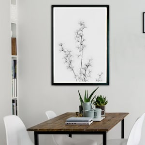Black and White Home Decor, Botanical Print for Home Interior, Vintage Wall Art, Kitchen Wall Art for Lounge, Minimalist Wall Decoration