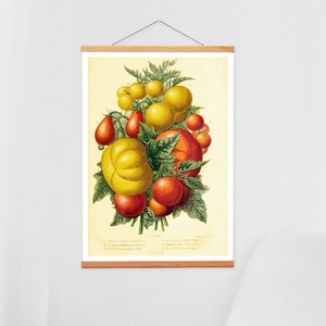 Kitchen Decor, Vintage Wall Art and Wooden Poster Hanger,  Botanical Canvas Wall Art and Oak Hanger, Antique Botanical Canvas Print