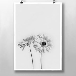 Black and White Prints for Home Decor, Botanical Print for Home Interior, Vintage Wall Art, Kitchen Wall Art, Minimalist Wall Decoration
