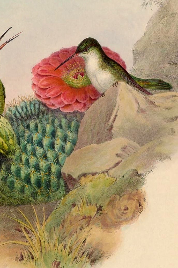 Set of 3 Canvas Prints Set of 3 Wall Art Prints for Your Etsy