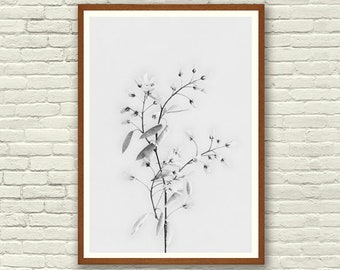 Printable Art, Floral Print, Wild Flower Print, Botanical Print, Vintage Wall Art, Black and White Print, Minimalist Print, Kitchen Wall Art