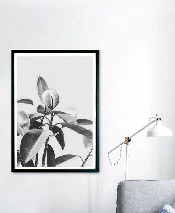 Botanical Prints for Your Home Black and White Prints for Etsy