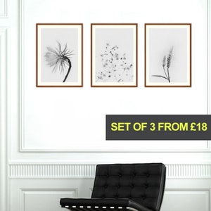 Botanical Print Set, Floral Prints, Set of 3 Flower Prints, Vintage Wall Art, Black and White Print, Abstract Flower Print, Kitchen Wall Art