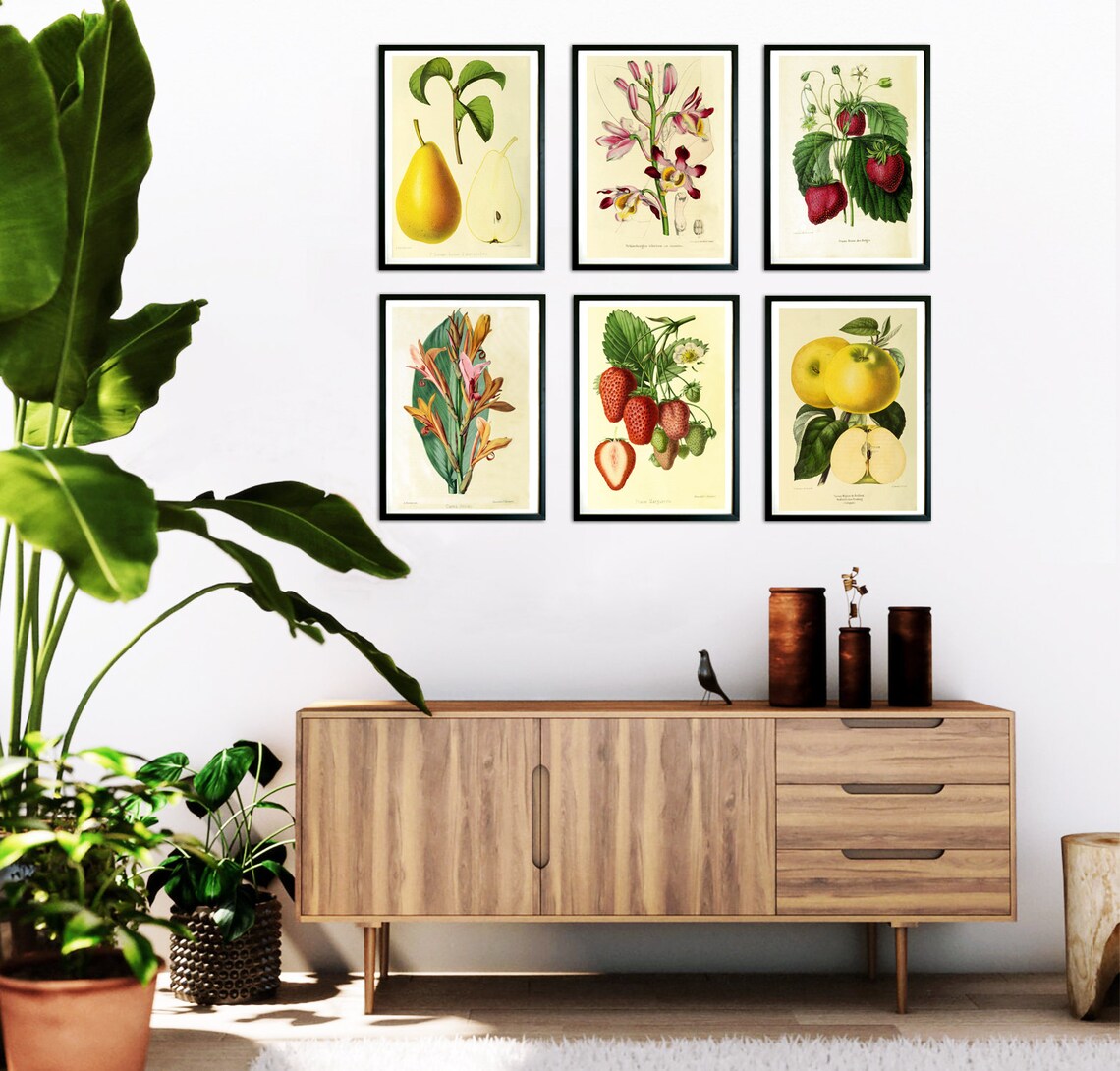 Botanical Print Set Canvas Wall Art Set of 6 Prints Canvas Etsy