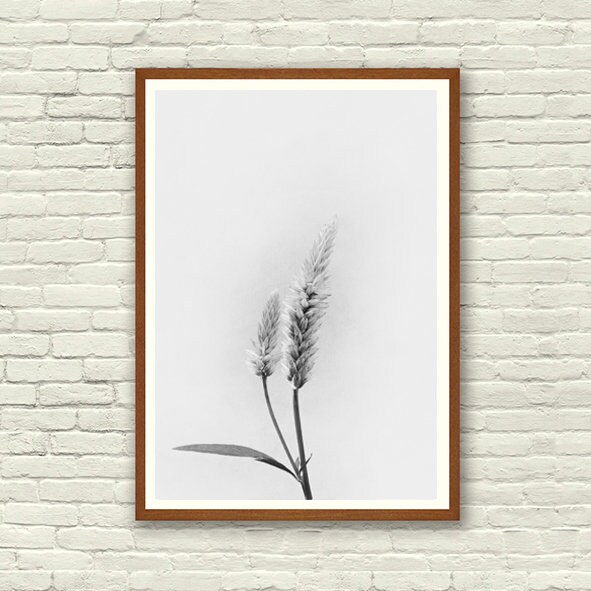 Set of 3 Framed Botanical Prints Framed Wild Flower Prints | Etsy