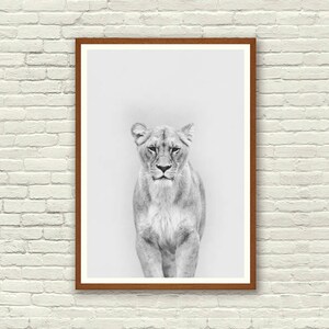 Animal Print, Nursery Wall Art, Safari Nursery Prints, Lioness Print, Nursery Prints, Home Decor, Baby Animal Prints,  Kitchen Wall Art