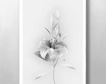 Floral Print, Lilly Prints, Wild Flower Print, Botanical Print, Home Decor, Black and White Print, Minimalist Print, Kitchen Wall Art, Decor