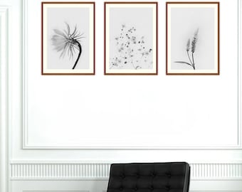Botanical Print Set, Printable  Wall Art, Set of 3 Prints, Wild Flower Print, Botanical Print, Vintage Prints, Black and White Print