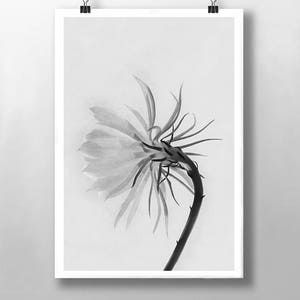Impressão floral, arte de parede, impressão de flores selvagens, impressão botânica, arte de parede vintage, impressão em preto e branco, impressão de flores abstratas, arte de parede de cozinha