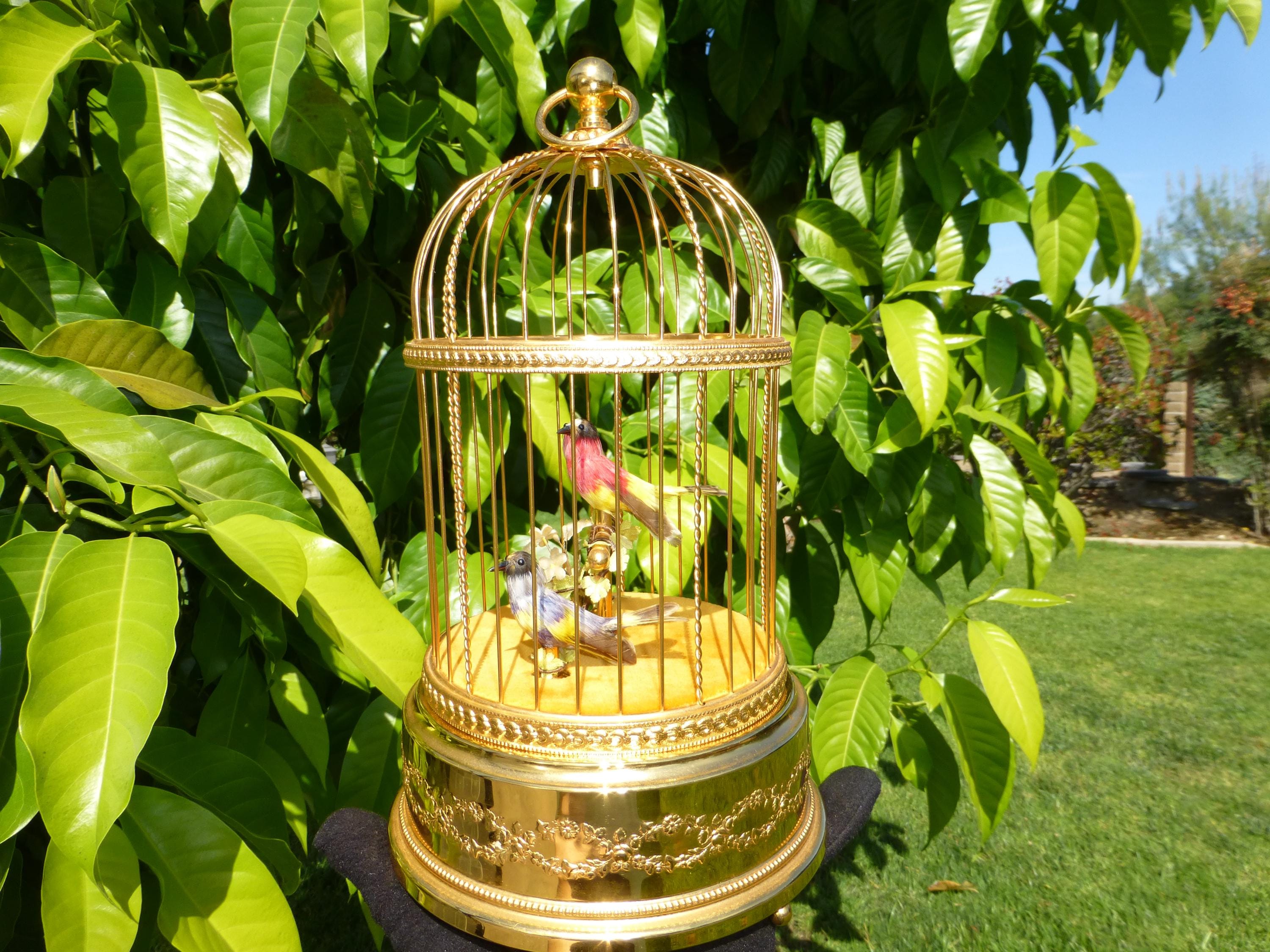 Reuge Singing Bird Box - Etsy