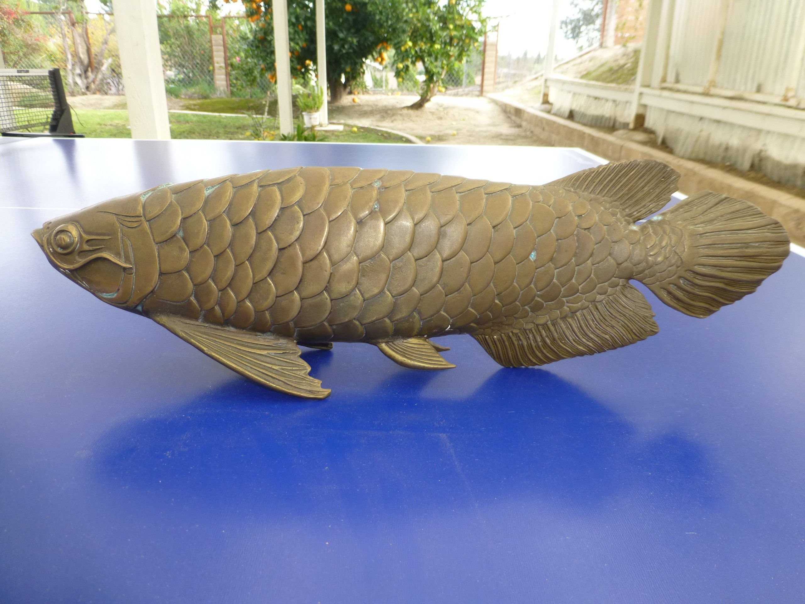 Arowana Fish Feng Shui