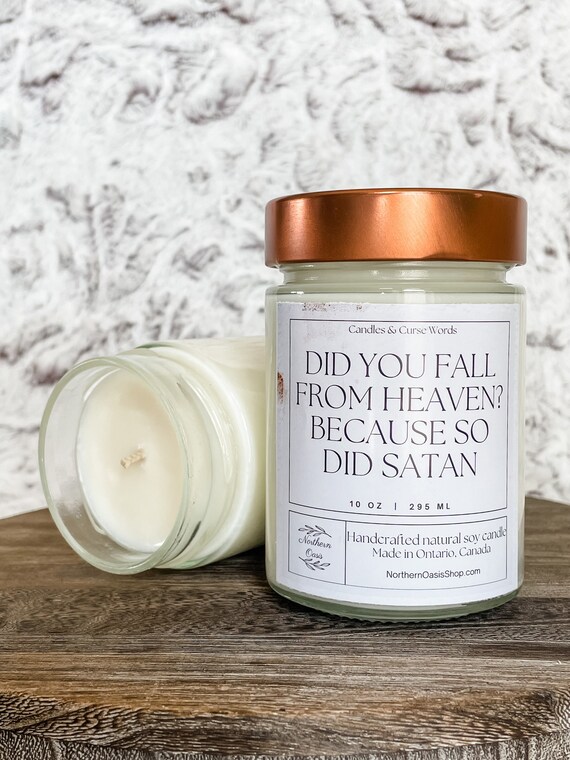 Did You Fall From Heaven? Because So Did Satan - Custom Soy Candle - Choose Your Fragrance