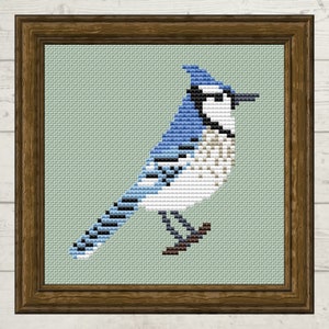 Patrón de punto de cruz Blue Jay, descarga digital PDF, carta de aves americanas, bueno para principiantes, color y blanco y negro