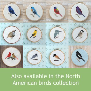 May include: A collection of 10 embroidery hoops featuring different North American bird designs. The birds are depicted in various colors, including blue, red, yellow, and brown. The hoops are all the same size and are arranged in a grid pattern.