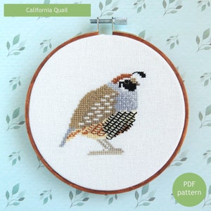 California Quail Kreuzstich Stickmuster, California State bird, Kreuzstich Stickmuster PDF