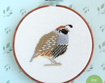 California Quail cross stitch pattern, state bird design, California state bird, cross stitch bird pattern PDF