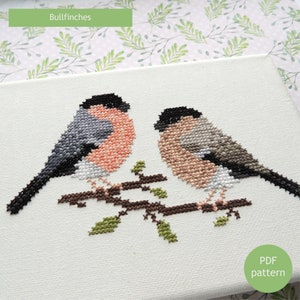 Bullfinch cross stitch pattern. Cross stitch bullfinch. Bullfinch bird pattern. bullfinch chart. PDF instant download