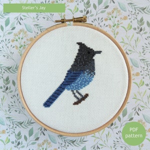 Steller&#39;s jay cross stitch pattern, small pattern, small cross stitch pattern PDF, DIY decor, cross stitch bird pattern