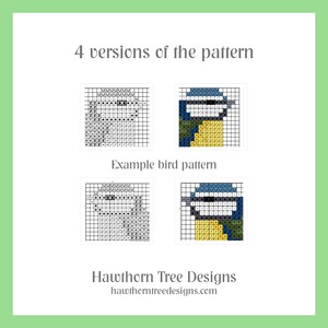 May include: Four versions of a cross-stitch pattern for a bird. The pattern includes black, white, blue, yellow, and green colors. The text "Example bird pattern" is included in the image.