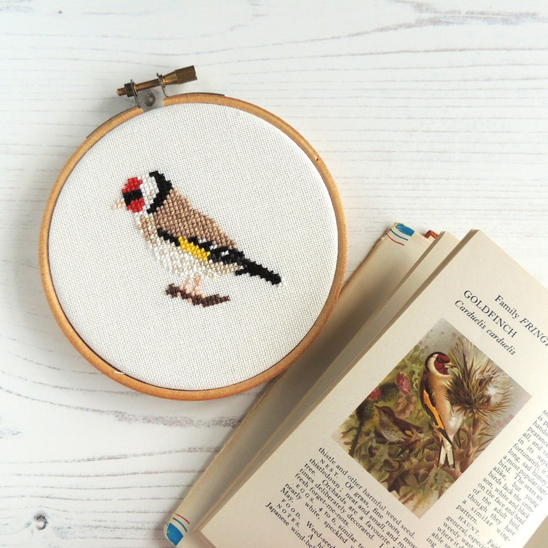 Goldfinch Book Pdf