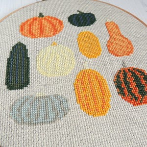 K&ouml;nnte beinhalten: Ein Kreuzstich-Stickrahmen mit einer Auswahl an bunten K&uuml;rbissen und K&uuml;rbissen. Die K&uuml;rbisse sind in Orange-, Gelb- und Gr&uuml;nt&ouml;nen gehalten, die K&uuml;rbisse in Blau- und Gr&uuml;nt&ouml;nen.