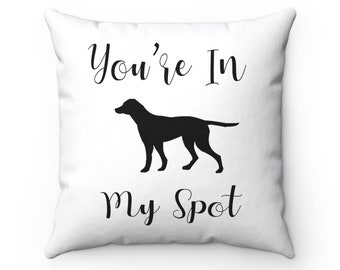 Dog Personalized Pet Pillow- You're In My Spot