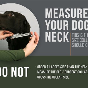 May include: A black dog has its neck measured with a tape measure. The text reads "Measure your dog's neck. This is the size collar you should order. Do not order a larger size than the neck size. Measure the old/current collar. Guess the collar size."