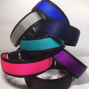 May include: A stack of five dog collars in different colors, including pink, teal, purple, blue, and silver. The collars are made of nylon webbing with black edging and have a metal buckle.