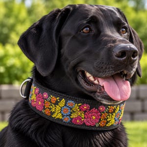 May include: A black Labrador dog wearing a wide black collar featuring vibrant, multi-colored floral embroidery in shades of pink, orange, yellow, and blue. The collar includes a silver-toned metal D-ring for leash attachment.