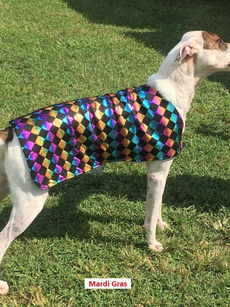 Cool coats for show dogs sale