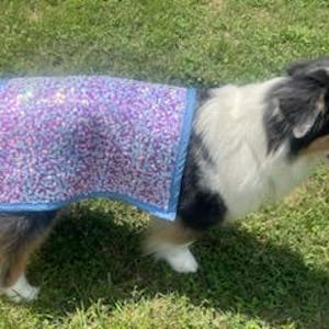 Dog Cooler Cooling Cool Sheet - Show Coat-Flashy Spandex outside fabric and a PVA chamois lining.