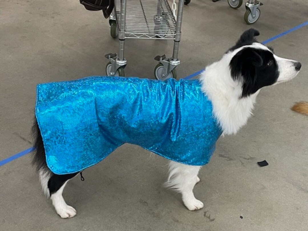 Dog Cooler Cooling Cool Coats Show Coatflashy Spandex Outside Fabric
