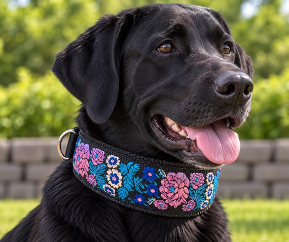 Hidden Prong K9 Dog Collar with Superior Aluminum Buckle Closure – Jacquard Ribbon