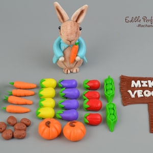 fondant cake topper, fondant veggies, Rabbit cake topper set