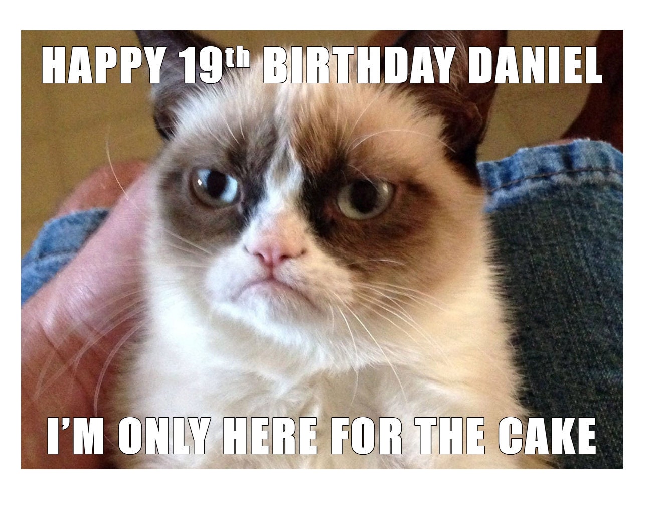 101 Funny Cat Happy Birthday Memes